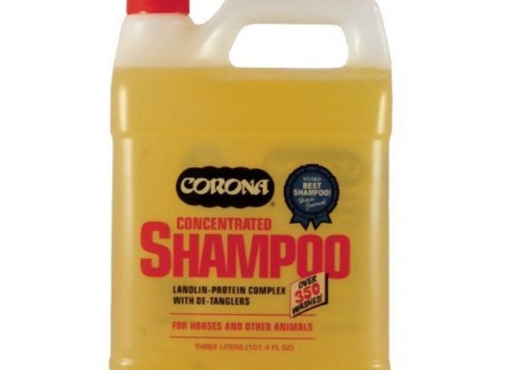 Corona Shampoo Concentrate - 3 Liter Shampoo for Horses