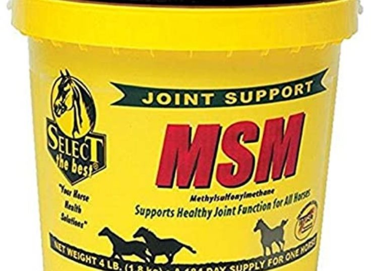 Richdel 784299400405 Msm Powder Joint Support for Horses