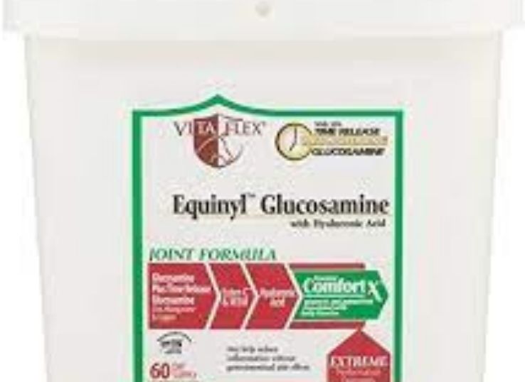 Vita Flex Equinyl Glucosamine with Hyaluronic Acid Joint Formula