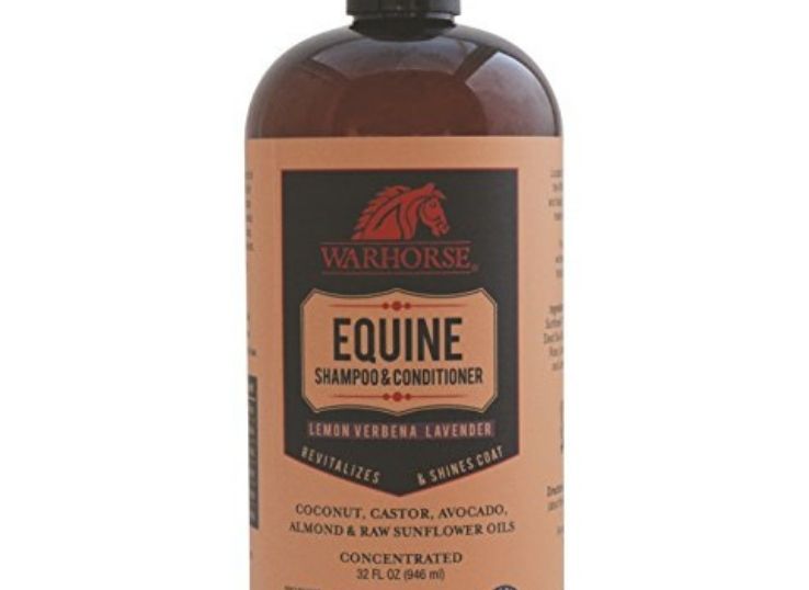 Warhorse Solutions Natural EQUINE Shampoo and Conditioner for Horse