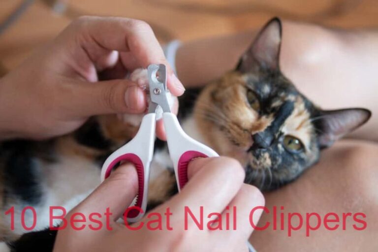 The 10 Best Cat Nail Clippers in 2024: Reviews & Buying Guide