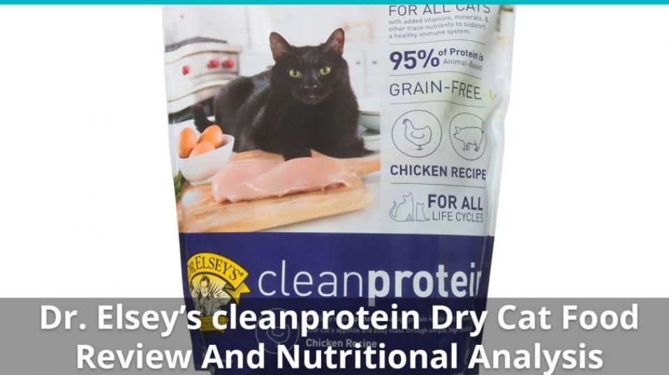 Dr Elsey Clean Protein Dry Cat Food