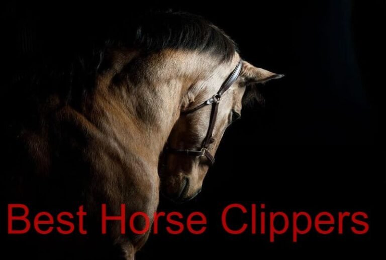 The 10 best horse clippers in 2024: Latest Reviews