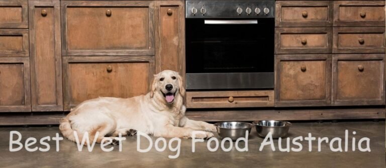 Top 10 Best wet dog food Australia Recommended by Vets in 2024