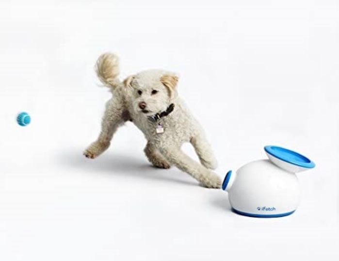 IFetch Interactive Mini Tennis Ball Dog Toy