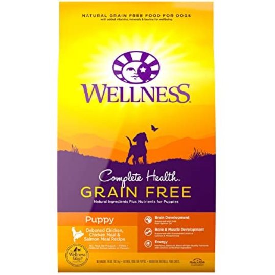 Wellness Complete Health Dry Dog Food