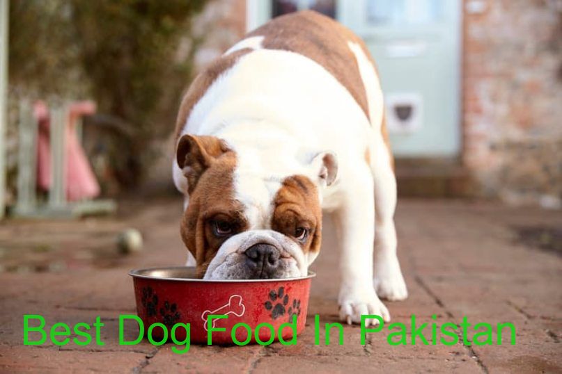 best-dog-food-in-Pakistan