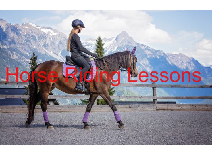 Horse riding lessons