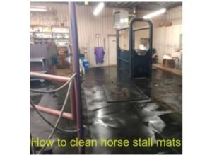 how to clean horse stall mats