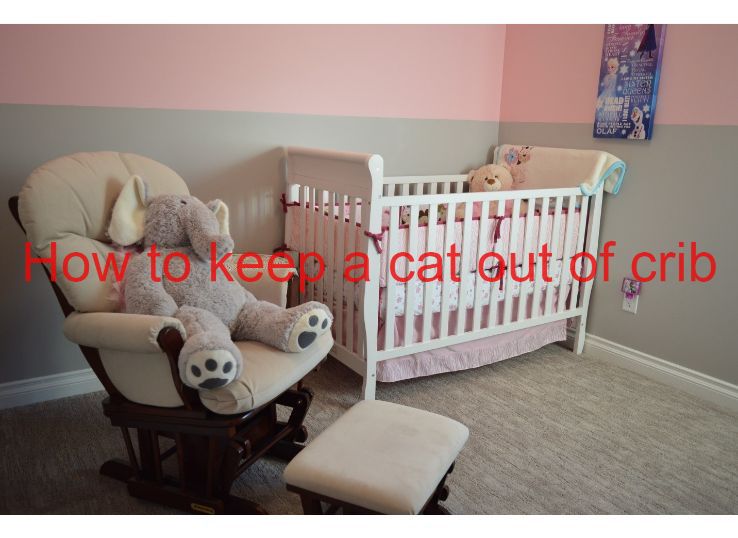 how to keep a cat out of crib