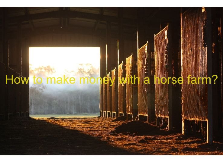 How to make money with a horse farm? Best Guide