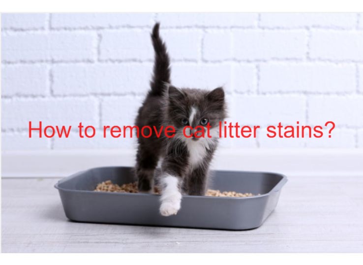 how to remove cat litter stains