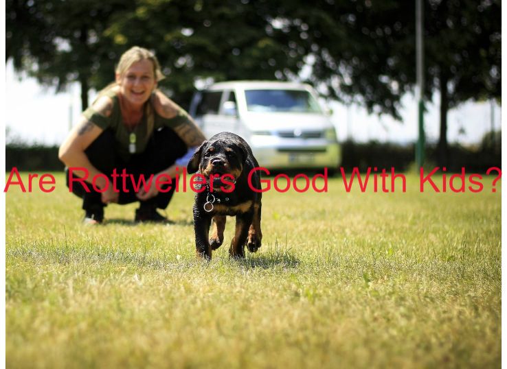 are Rottweilers good with kids