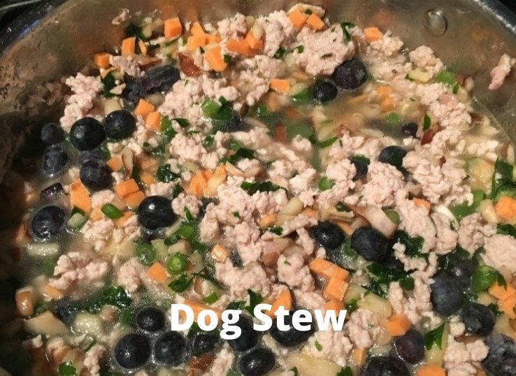 Dog Stew