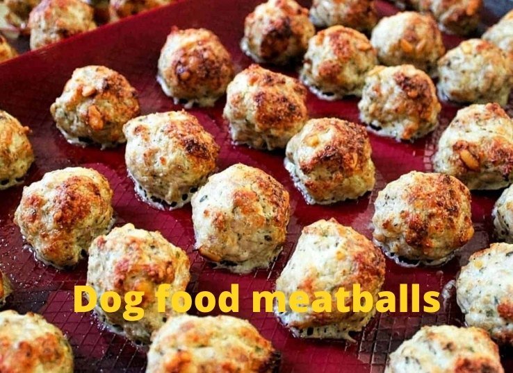 Dog food meatballs