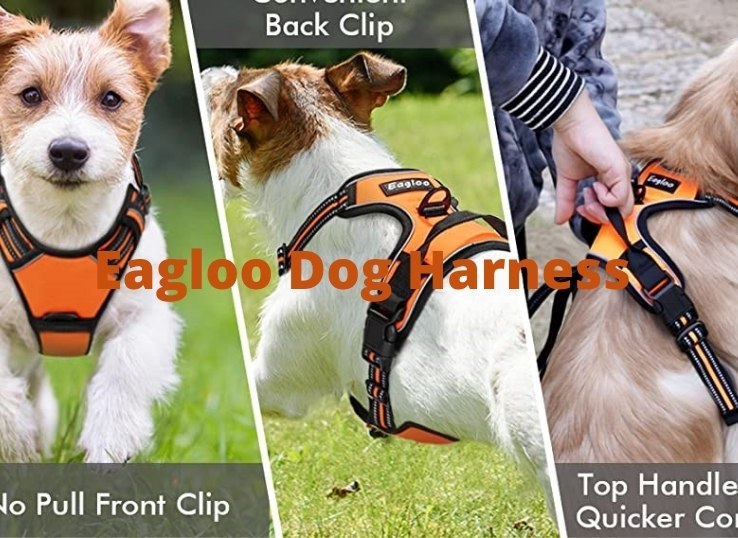 Eagloo Dog Harness