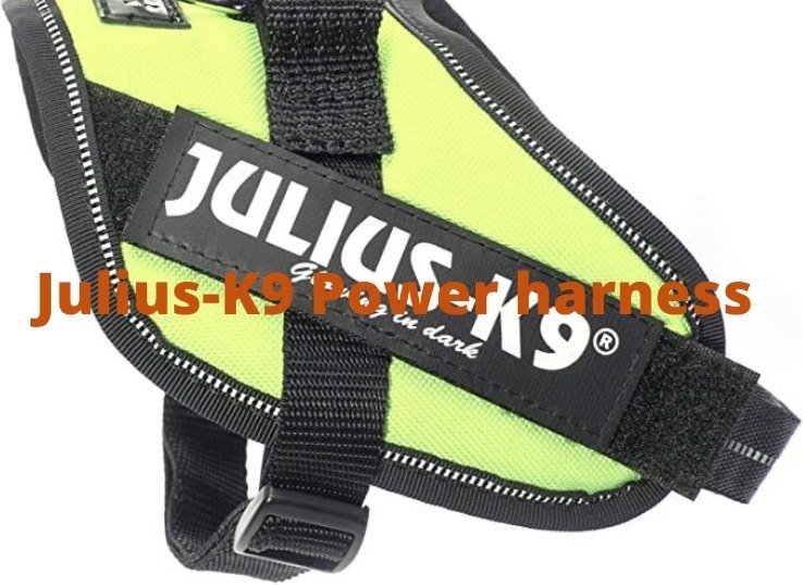 Julius K9 Power harness