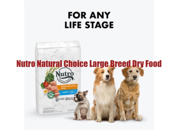 Nutro Natural Choice Large Breed Dry Food