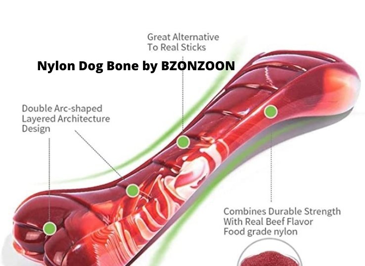 Nylon Dog Bone by BZONZOON 1