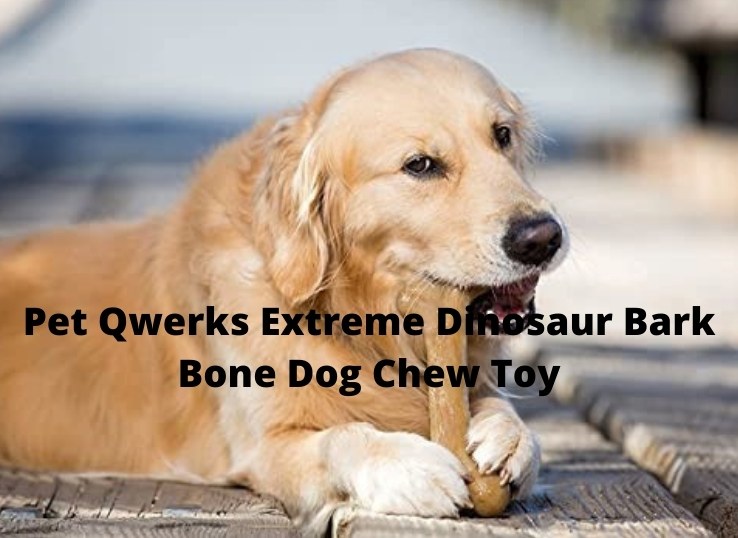 Pet Qwerks Extreme Dinosaur Bark Bone Dog Chew Toy 1