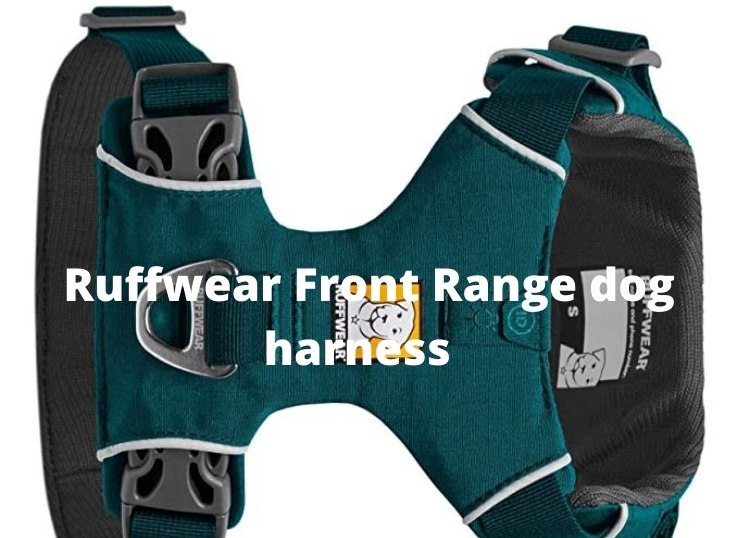 Ruffwear Front Range dog harness