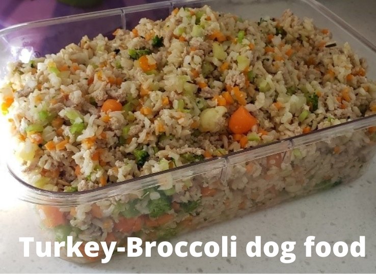 Turkey Broccoli dog food