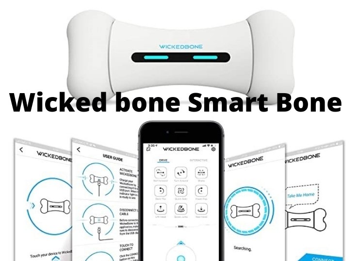 Wicked bone Smart Bone