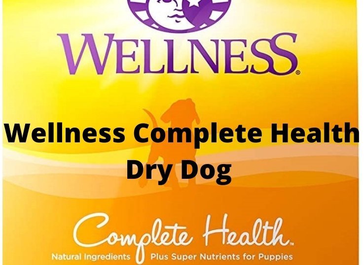 wellness complete heath dry dog food