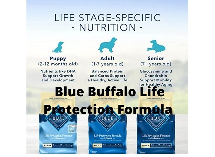 Blue Buffalo Life Protection Formula 2