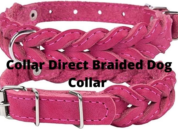 Collar Direct Braided Dog Collar