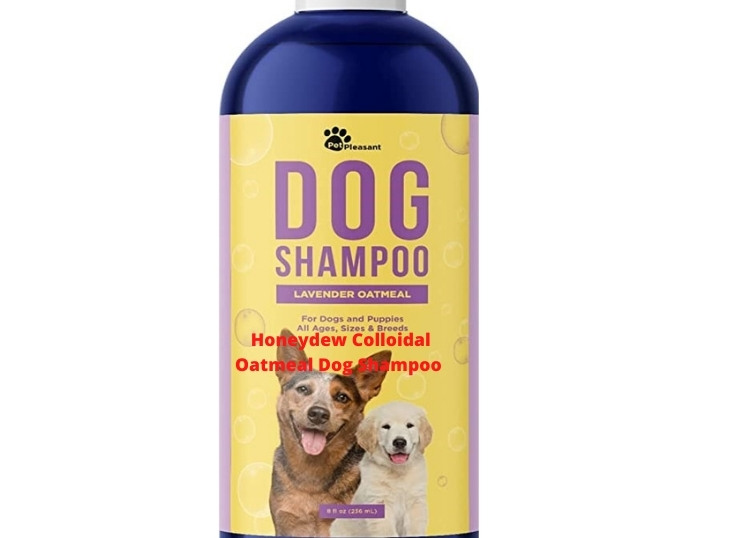 Honeydew Colloidal Oatmeal Dog Shampoo