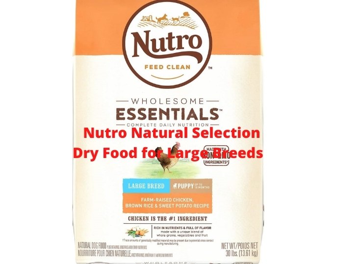 Nutro Natural Selection Dry Food for Large Breeds