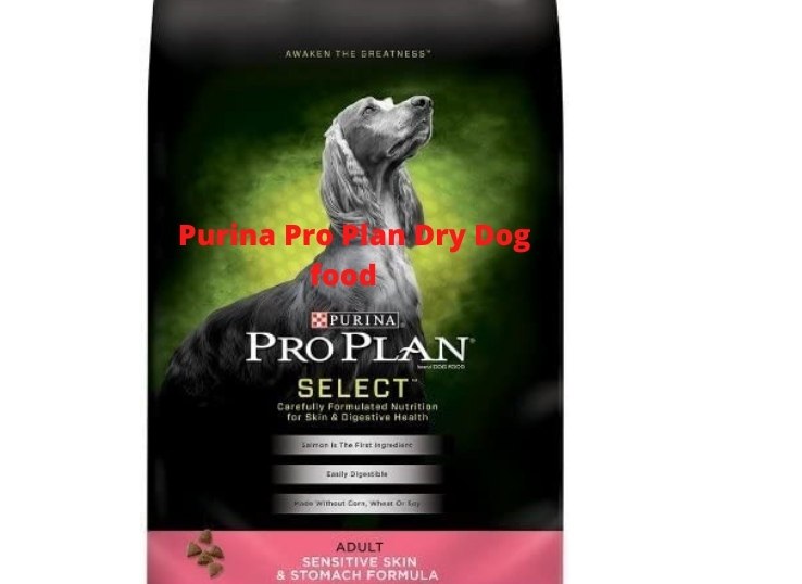 Purina Pro Plan Dry Dog food