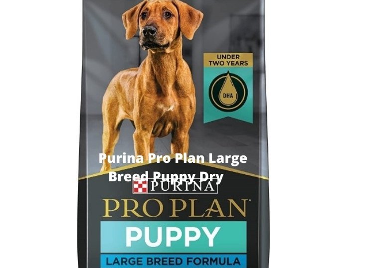 Purina Pro Plan Large Breed Puppy Dry