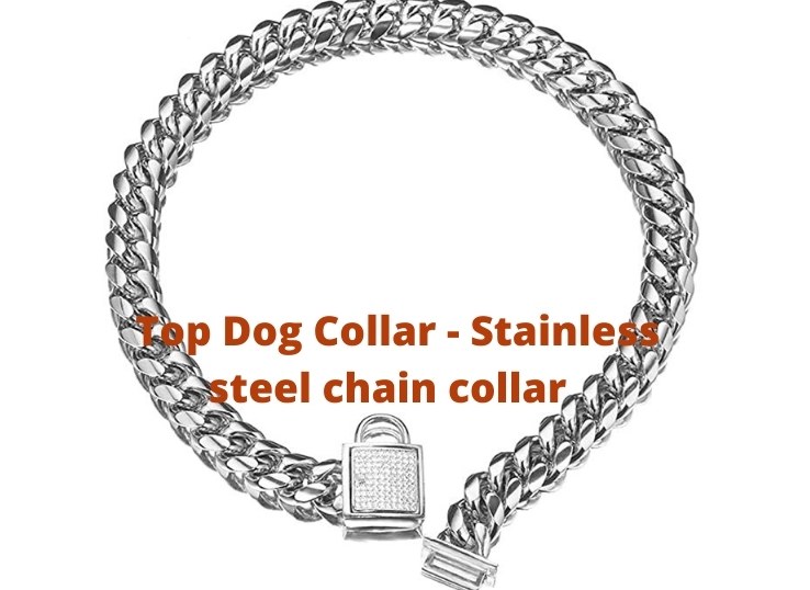 Top Dog Collar Stainless steel chain collar