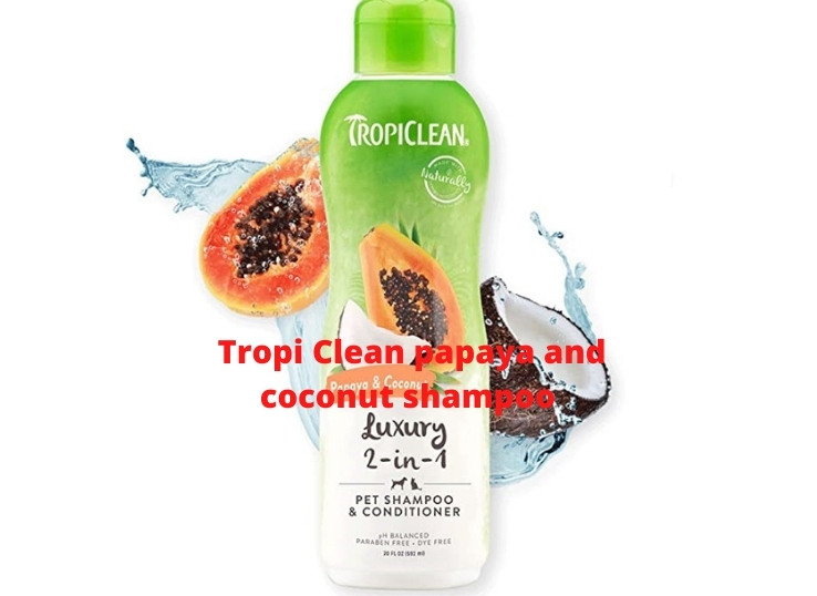 Tropi Clean papaya and coconut shampoo