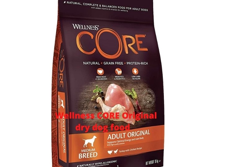 Wellness CORE Original dry dog food