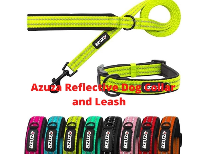 Azuza Reflective Dog Collar and Leash