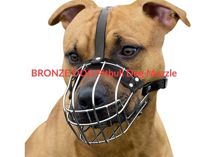 BRONZE-DOG-Pitbull-Dog-Muzzle