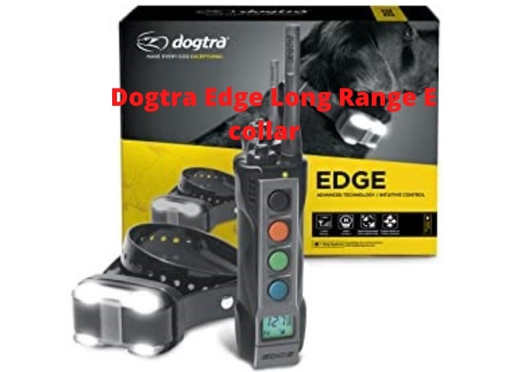 Dogtra Edge Long Range E collar