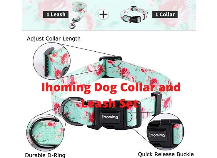 Ihoming Dog Collar and Leash Set