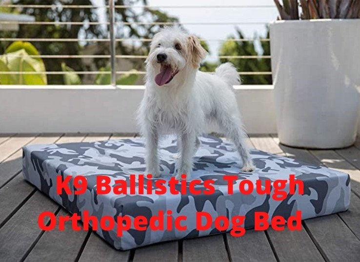 K9-Ballistics-Tough-Orthopedic-Dog-Bed