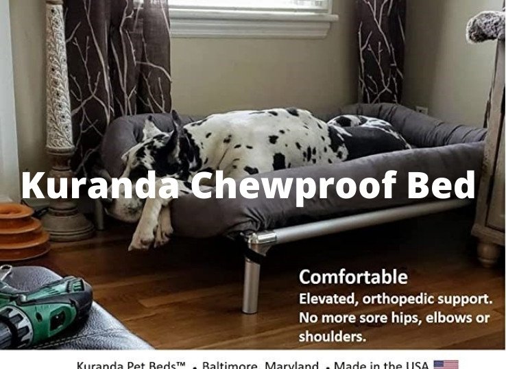 Kuranda-Chewproof-Bed