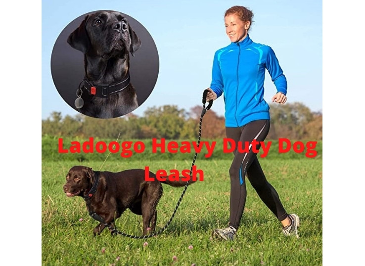 Ladoogo Heavy Duty Dog Leash