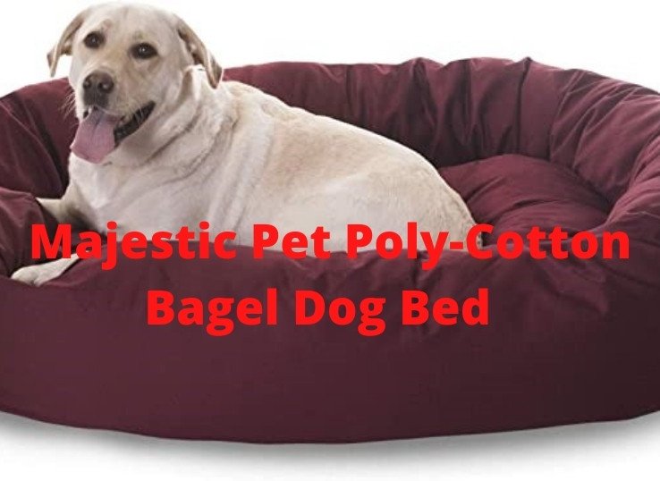 Majestic-Pet-Poly-Cotton-Bagel-Dog-Bed