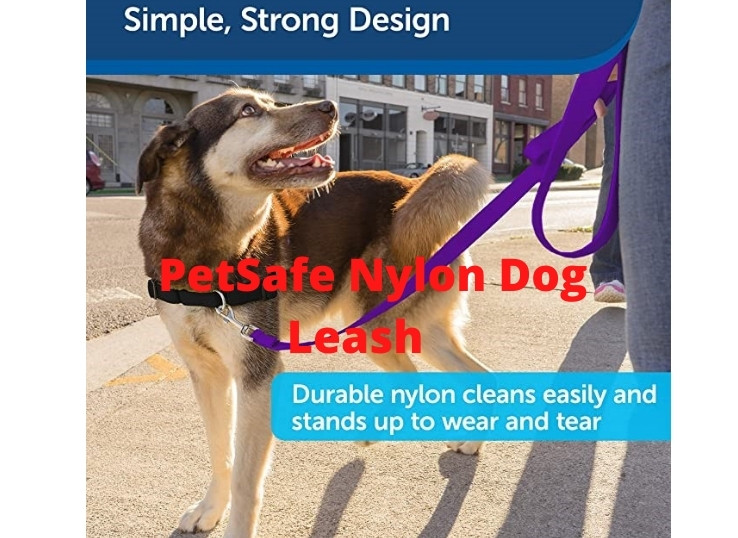 PetSafe Nylon Dog Leash