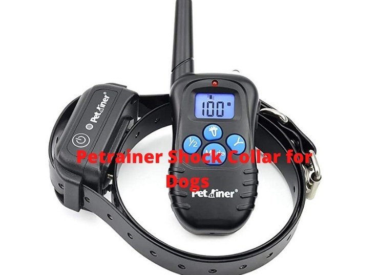 Petrainer-Shock-Collar-for-Dogs