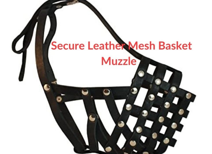 Secure-Leather-Mesh-Basket-Muzzle