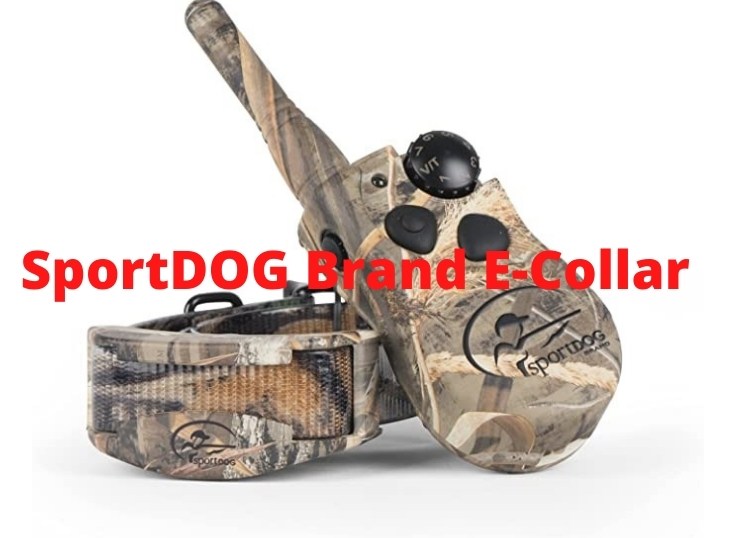 SportDOG Brand E Collar