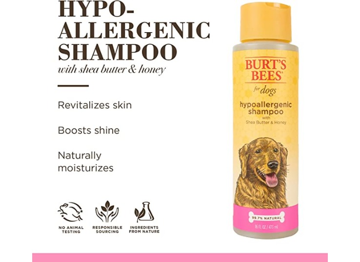 Burts Bees Shampoo